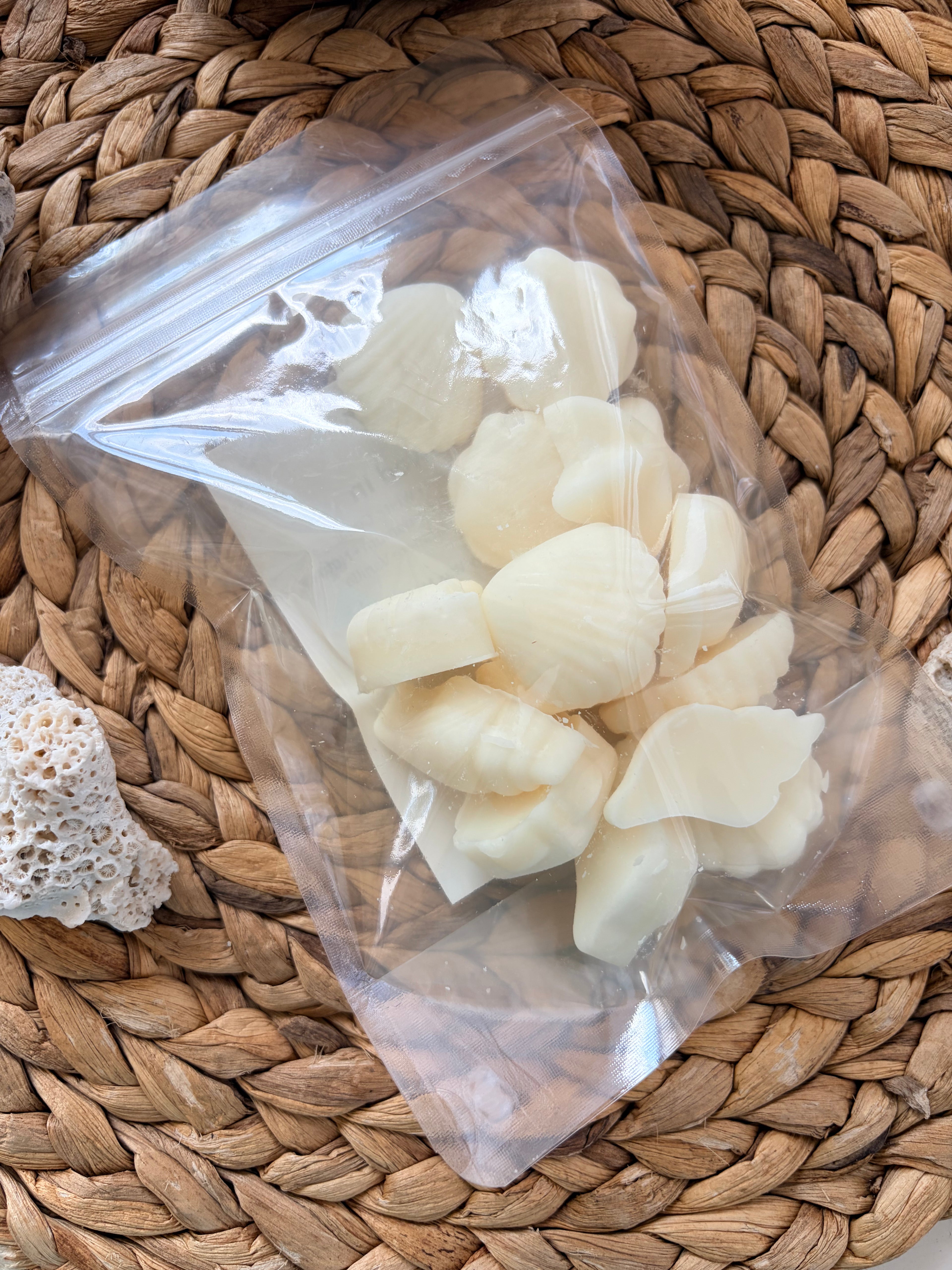 Snowed In | Wax Melts | Mandarin Leaf, White Cedar, Raw Cinnamon