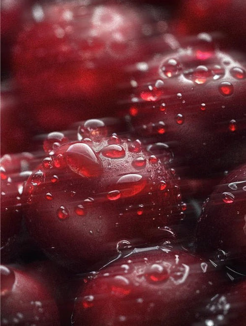 Lingonberry 5% Acid Toner - Gloavia